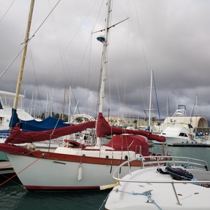 Fundraising Page: Daniel Cody